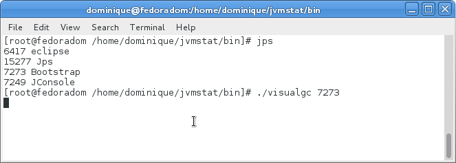Utilisation de la commande jps et lancement de VisualGC